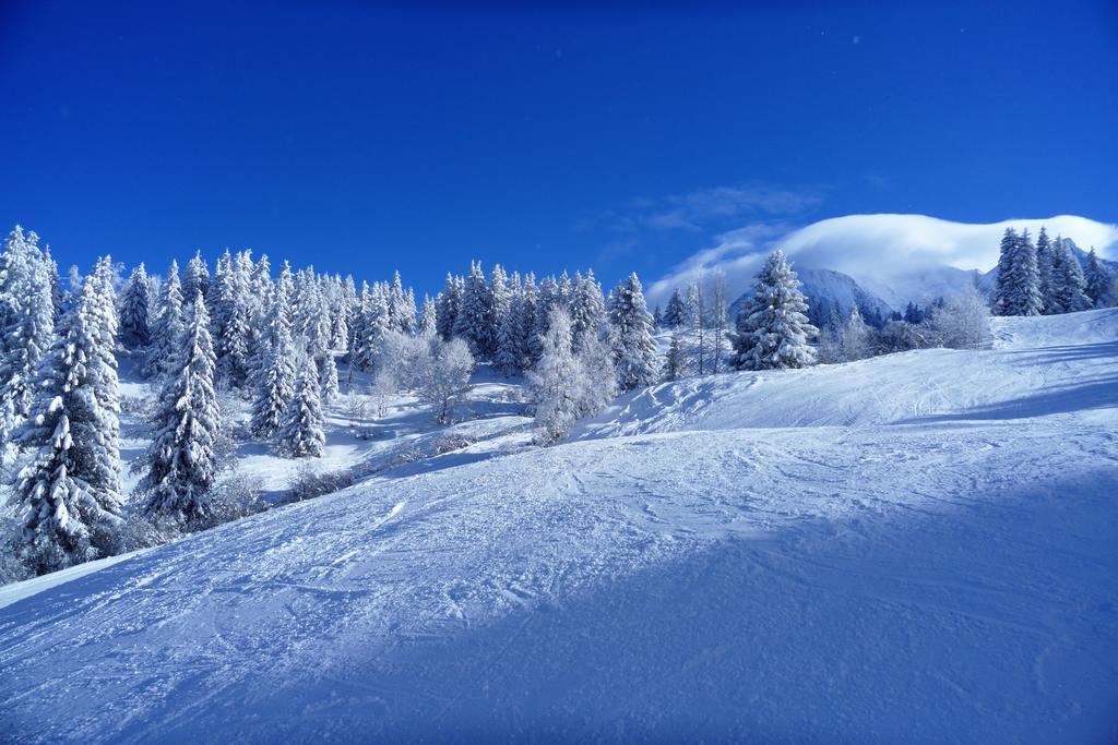 Chalet Hotel Du Bois Les Houches Luaran gambar